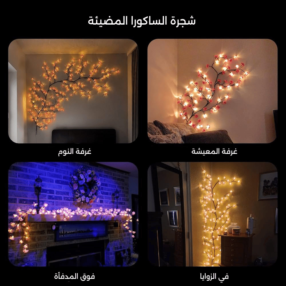 My Product