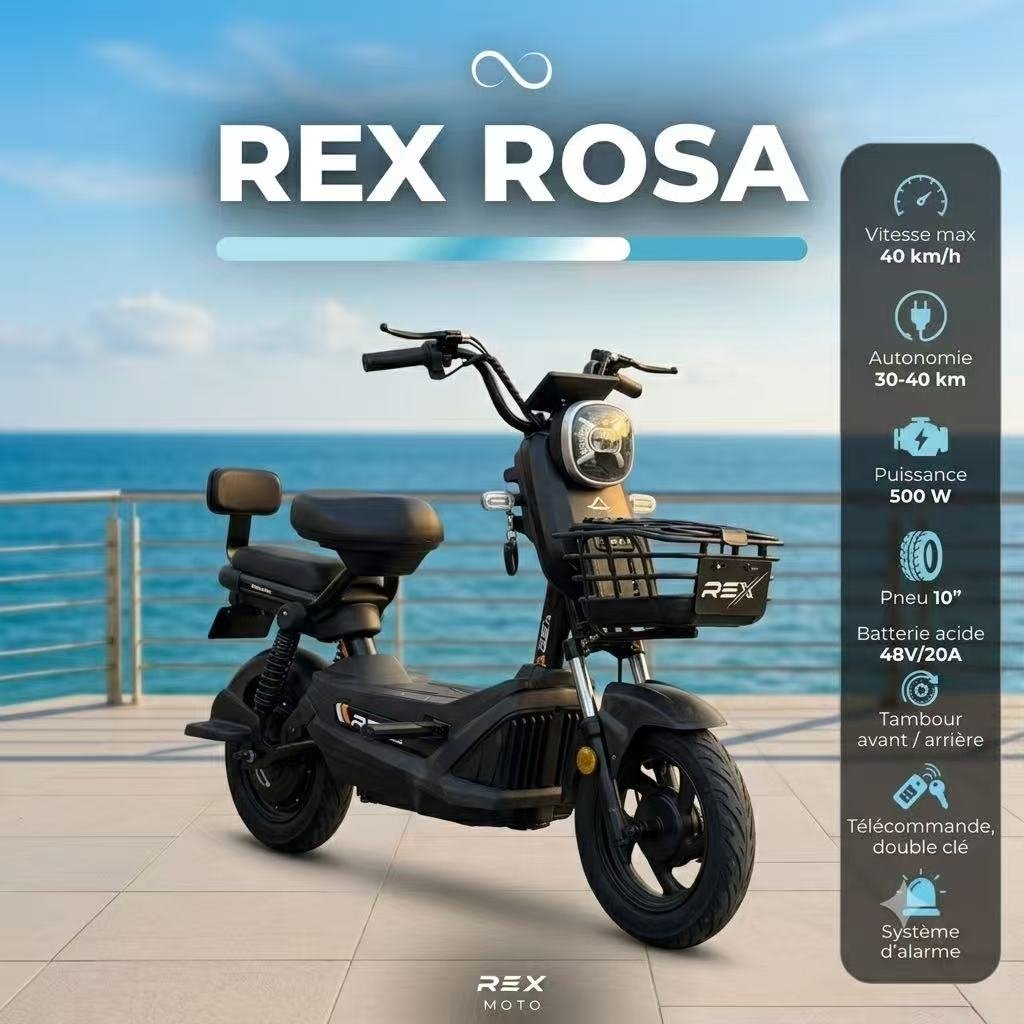 REX ROSA 500 W